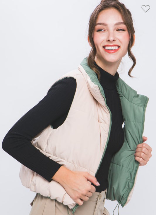 Reversible olive vest